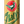 Load image into Gallery viewer, Zlatý Bažant Golden Pheasant Beer